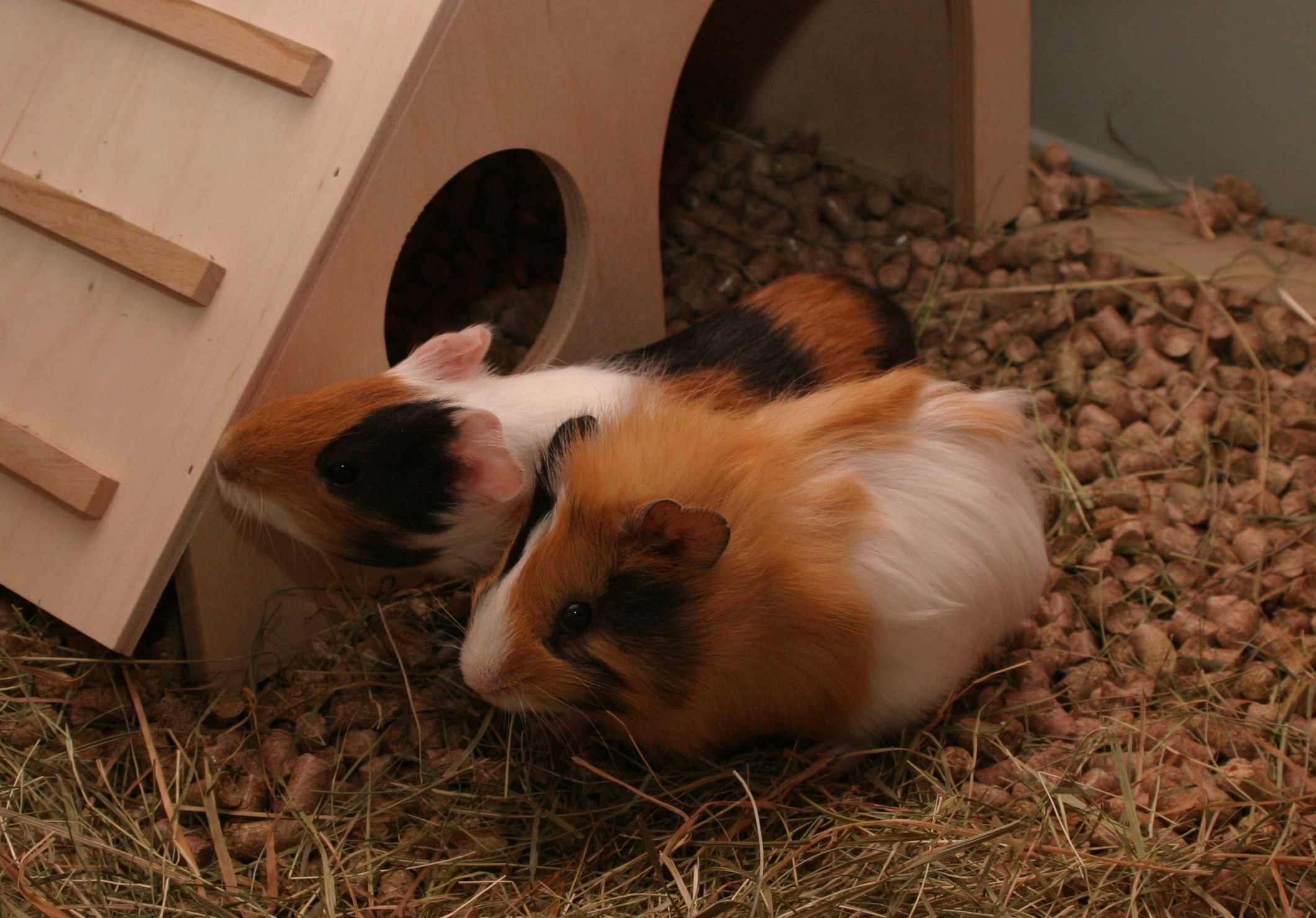 Lilly+Lola
