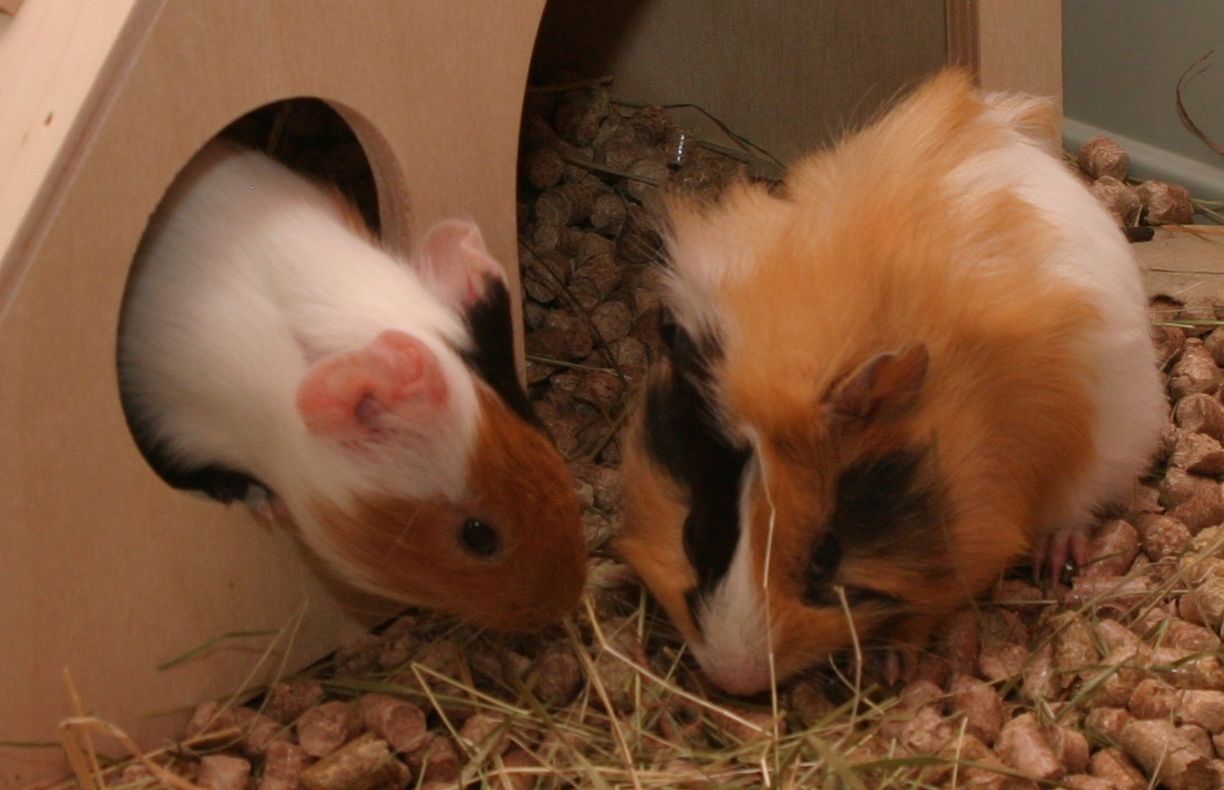 Lilly+Lola